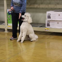 photograph by PeterW